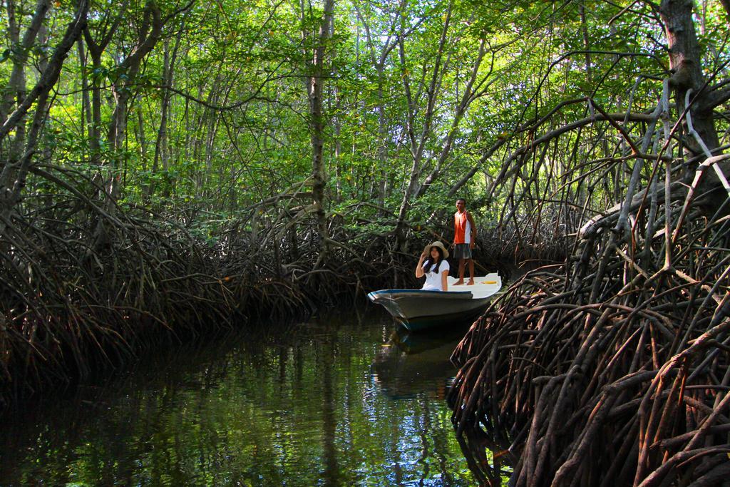 Mangrove Paradise Retreat Nusa Lembongan Exterior foto