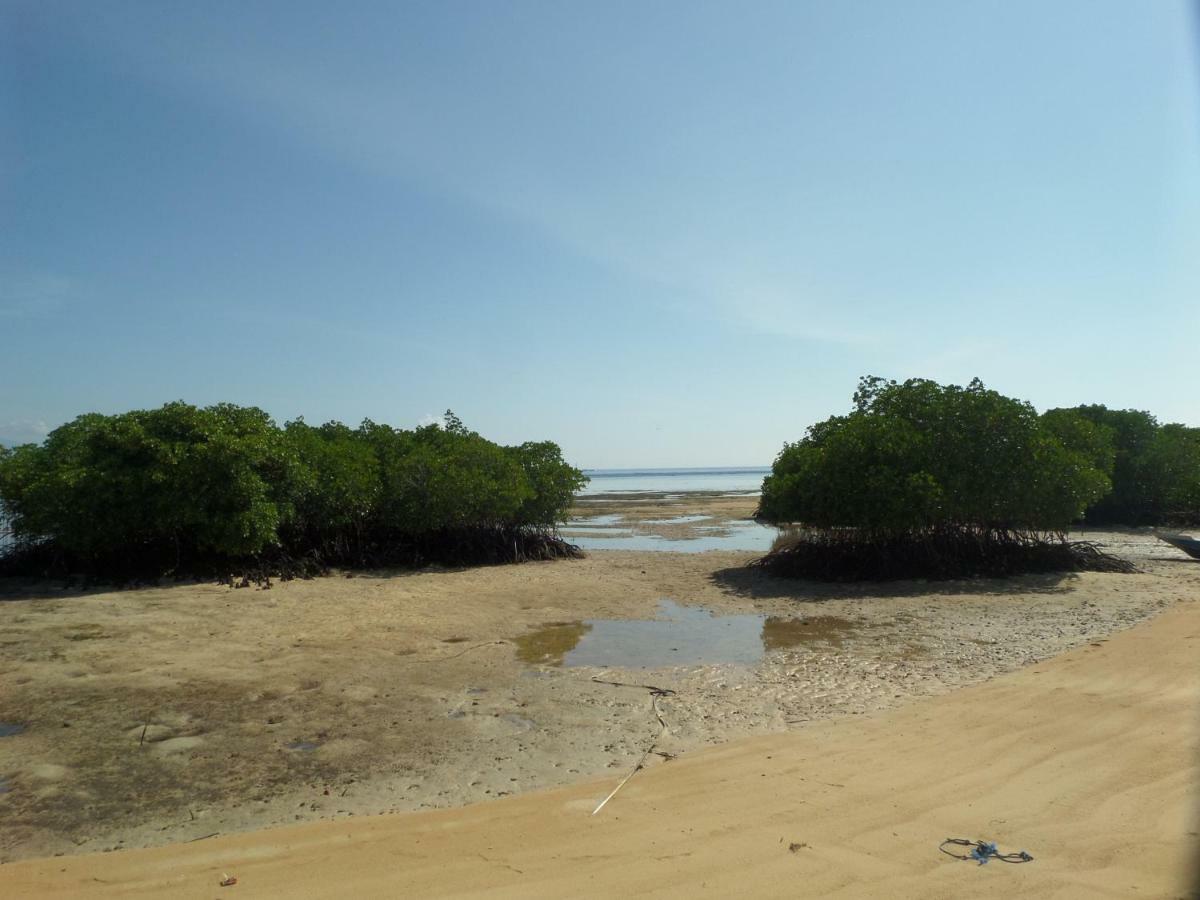 Mangrove Paradise Retreat Nusa Lembongan Exterior foto